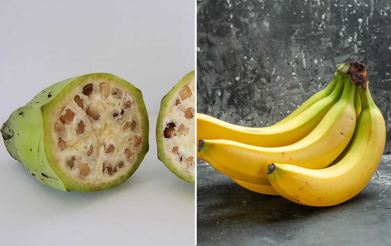 Окультурення значно їх змінило: як раніше виглядали популярні овочі й фрукти (відео)